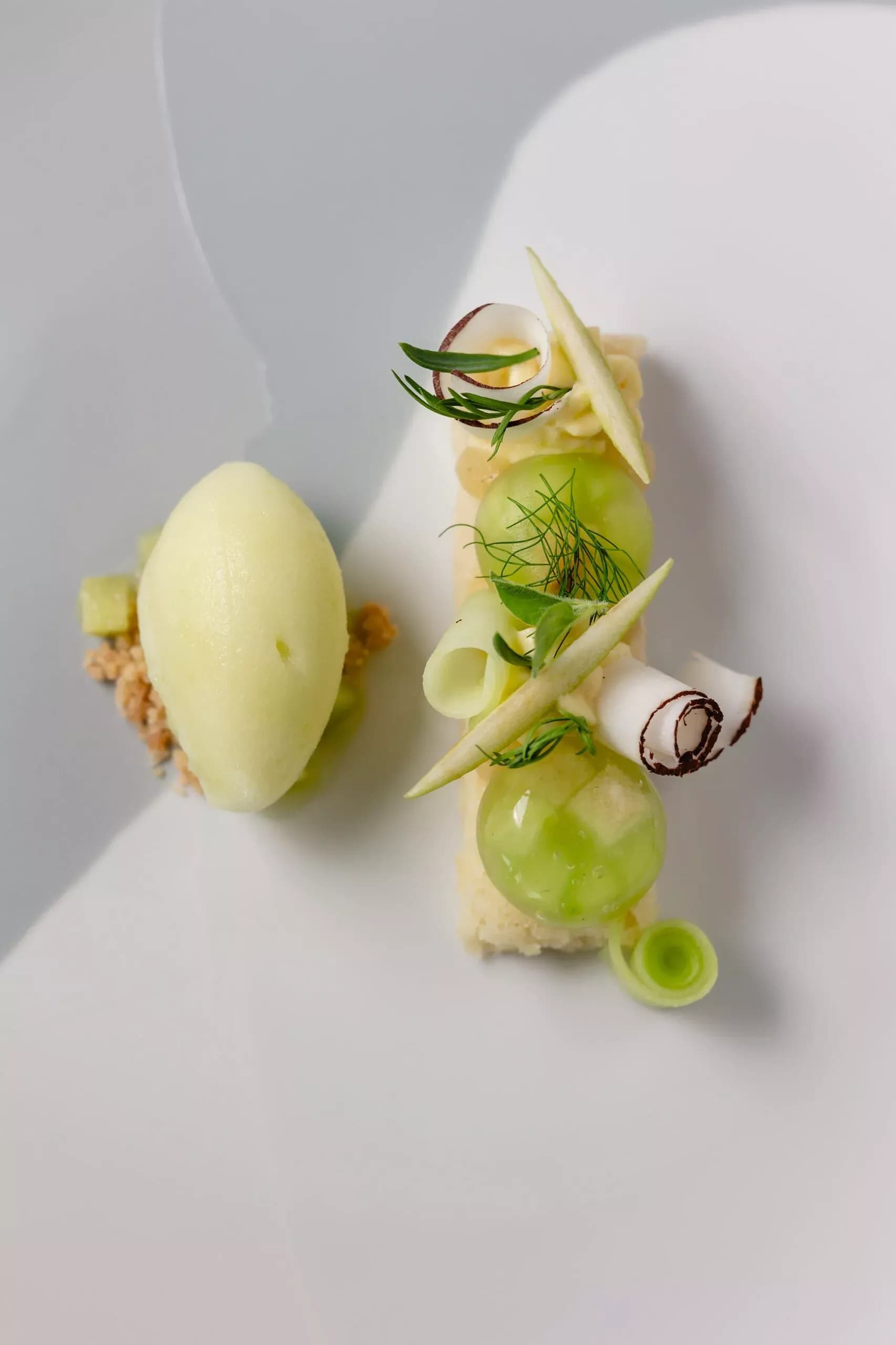 Alchemy of Flavours