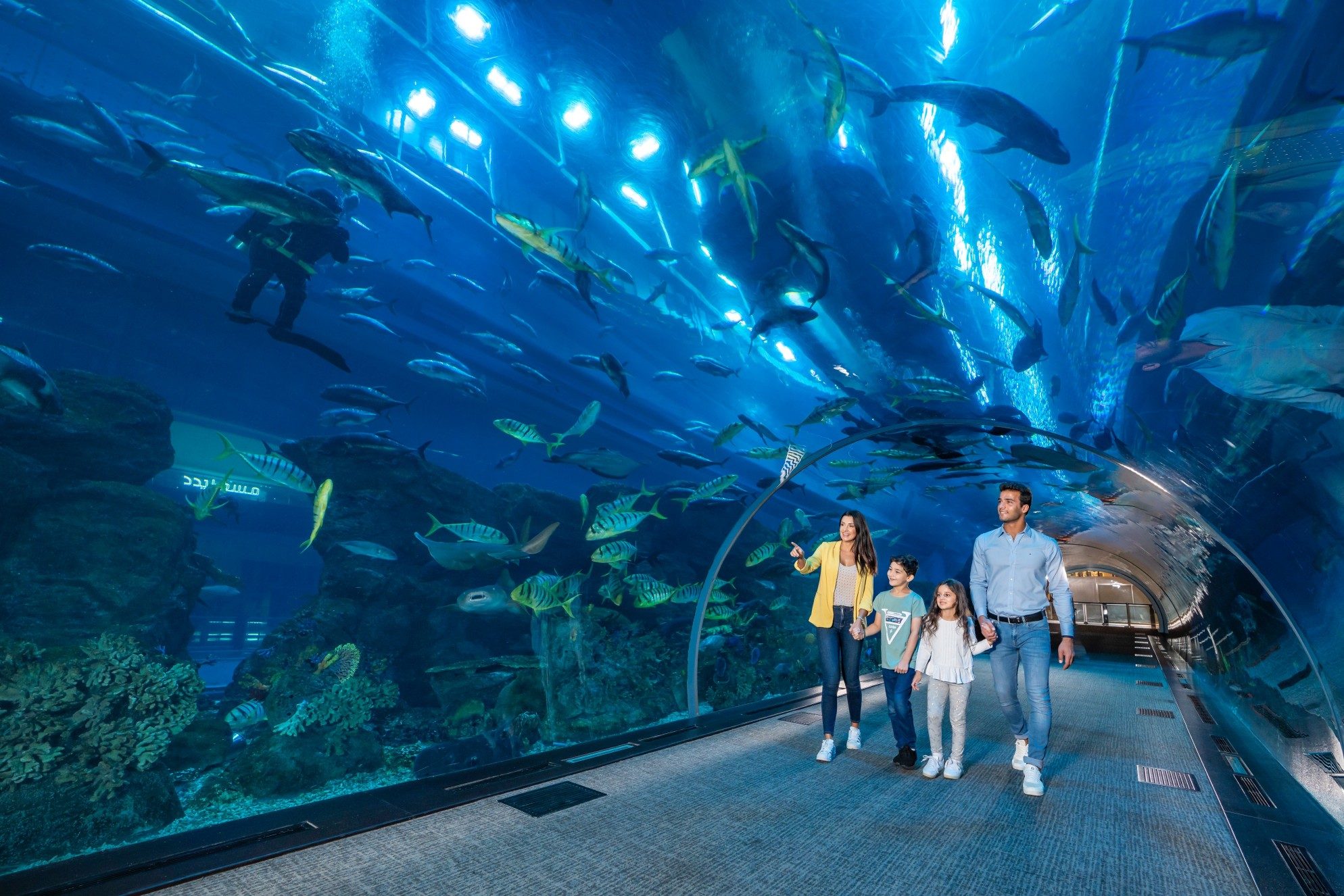Dubai Aquarium And Underwater Zoo Located In Dubai Mall Armani 